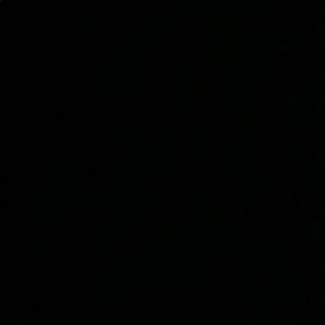 Meet your Posher, Meg